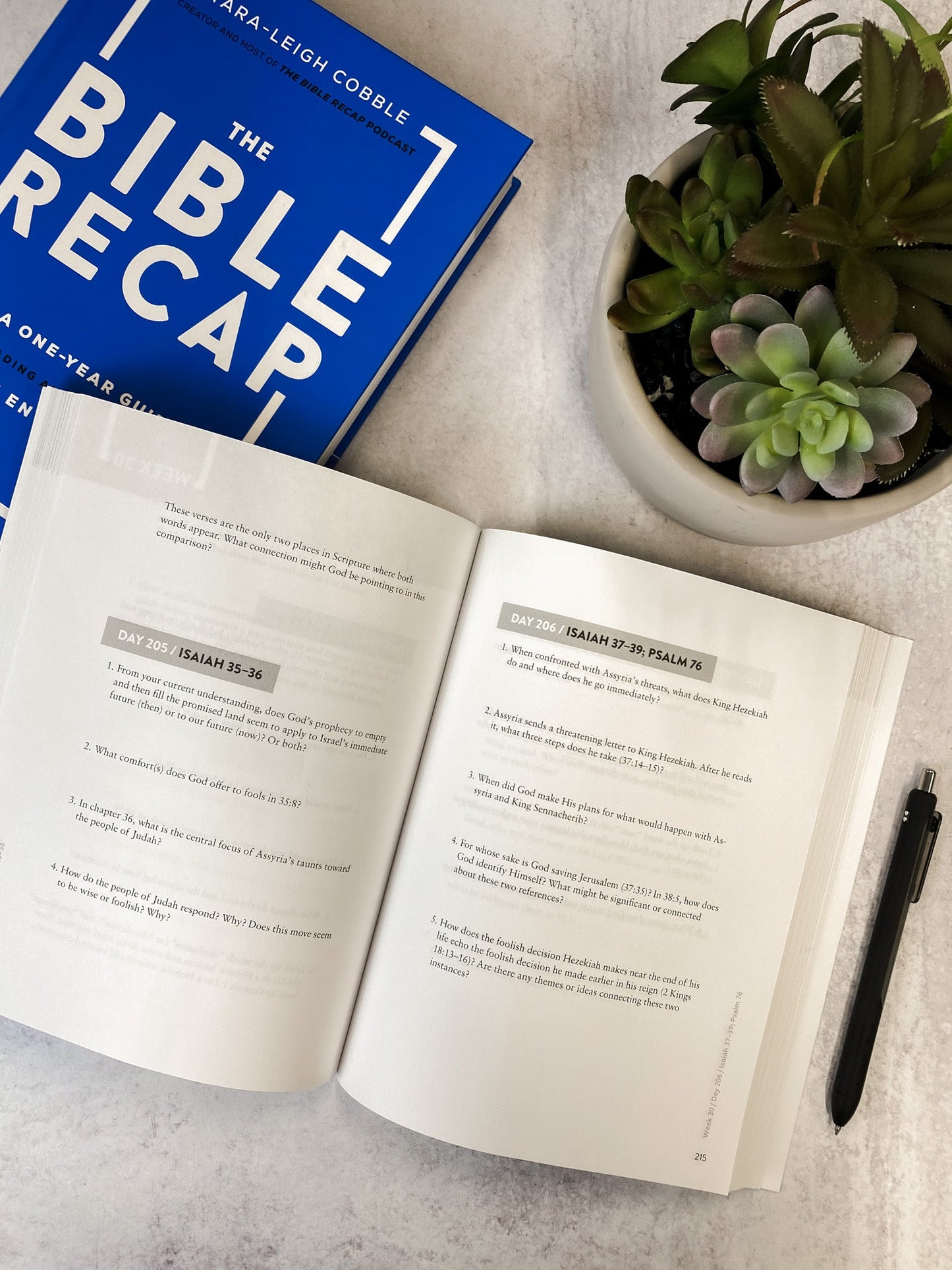 The Bible Recap Study Guide - Sunday