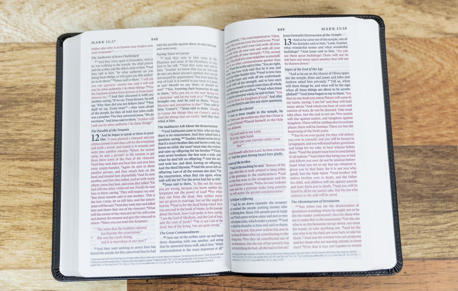 ESV Thinline Bible - Sunday