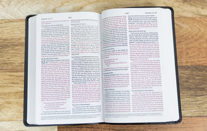 ESV Thinline Bible - Sunday